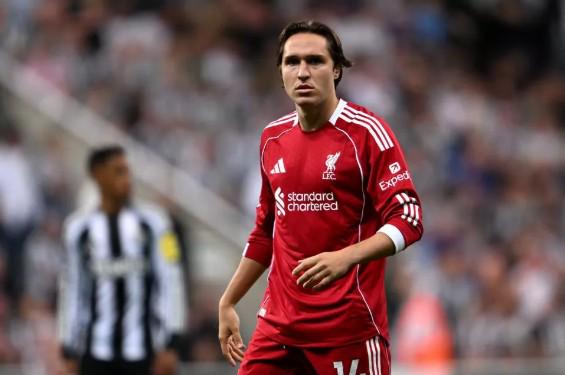 廷伯确认十,字韧带受损,短期内无缘,九游会官网,九游会J9,九游会娱乐,九游会下载,九游会中心