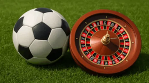 哈蘭德目前效力哪支球隊？